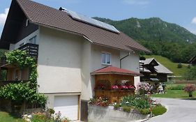 Apartments - glamping Encijan