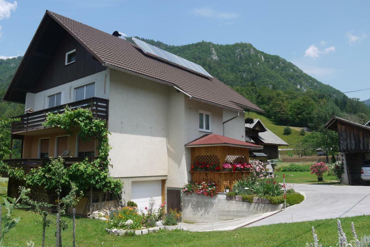 Apartments - glamping Encijan Begunje na Gorenjskem Buitenkant foto